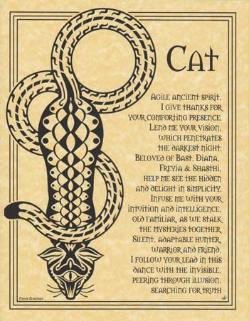 Cat Prayer (image for) Cat Prayer