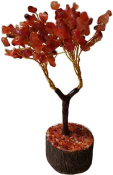 Carnelian gemstone tree (image for) Carnelian gemstone tree